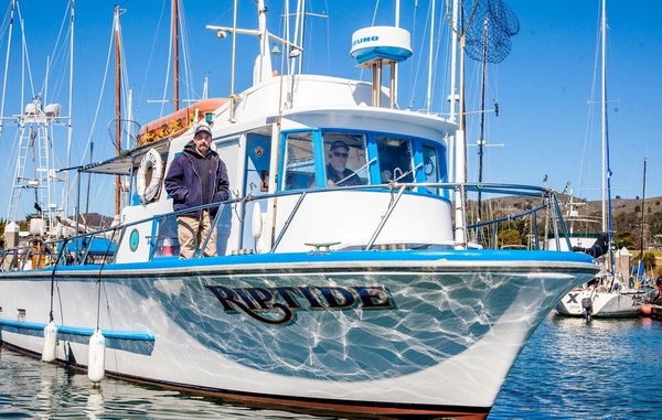 Riptide Rockfish