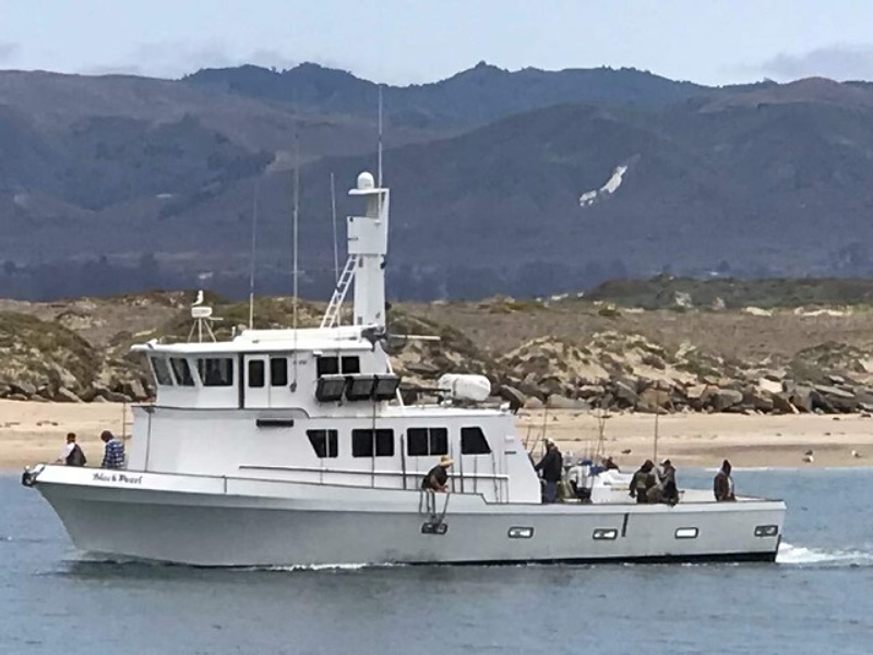 Black Pearl 8 Hour