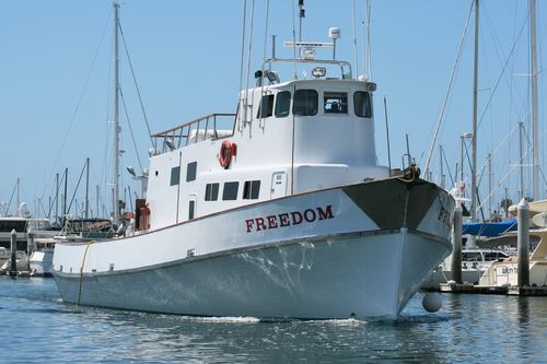 Freedom Overnight